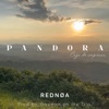 PANDORA - Single
