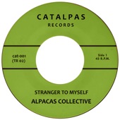 Alpacas Collective - Stranger to Myself