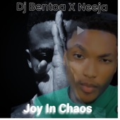 Joy In Chaos (feat. Neeja) artwork