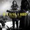 If I Was a Bird (feat. Jess Ray & Taylor Leonhardt) [Live] artwork