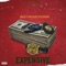 EXPENSIVE (feat. PETTODENE WILDLIFE) artwork