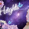 Heights - Single
