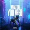 What Do You Need - Single