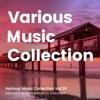 Various Music Collection Vol.25 -Selected & Music-Published by Audiostock-