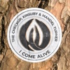 I Come Alive - Single