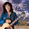 Pictures in the Clouds - Single