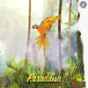 Paradaisu (feat. Soul Food Horns) - Single album lyrics, reviews, download