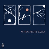 When Night Falls artwork