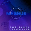 The Final Frontier - Single