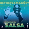 Siempre en Salsa, Vol. 2