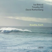 Breathe, Earth: New Cicada Trio Live in Beacon 2019 artwork