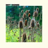 DrylllBones - Single Player Blues