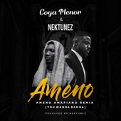 Ameno Amapiano Remix (You Wanna Bamba) - Goya Menor &amp; Nektunez Cover Art