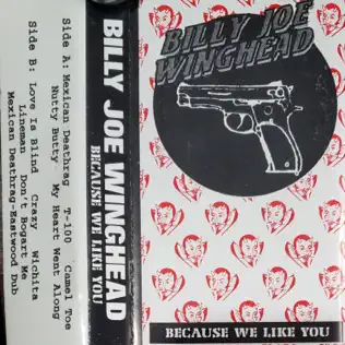 ladda ner album Billy Joe Winghead - Because We Like You