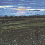 Casey Murray & Molly Tucker - Turtle in the Grass/Mariposa/Da Auld Foula