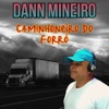 Caminhoneiro do Forró