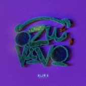 Ozu Vivo (Live) artwork