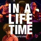 Lifetime (Live at SHIBUYA AX 2014.05.19) artwork