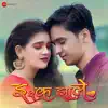 Ishq Zale - Single album lyrics, reviews, download