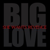 Big Love by She Wants Revenge