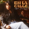 En La Calle - Single