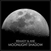 Moonlight Shadow - Single