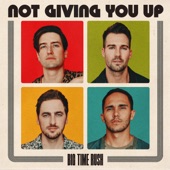 Not Giving You Up artwork