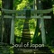 Soul of Japan (feat. Himekami) - DJ Tora, DAISHI DANCE & Shadw lyrics