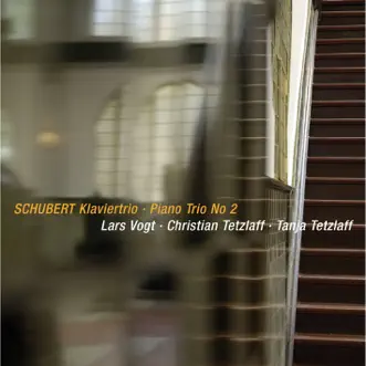 Piano Trio No. 2 in E-Flat Major, Op. 100, D. 929: II. Andante con moto by Lars Vogt, Christian Tetzlaff & Tanja Tetzlaff song reviws