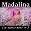 Cat numar pana la 2 - Single