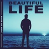 Beautiful Life - Single