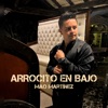 Arrocito en Bajo - Single