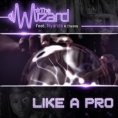 Like a Pro (feat. Nyanda & Chedda) [Extended Mix] artwork