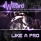 Like a Pro (feat. Nyanda & Chedda) [Extended Mix] artwork