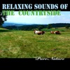 Relaxing Sounds of the Countryside