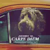 Stream & download Carpe Diem Deep Progressive House (DJ Mix)