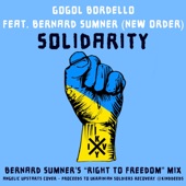 Gogol Bordello - Solidarity (feat. Bernard Sumner (New Order)) (Bernard Sumner’s “Right To Freedom” Mix)