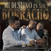 Mi Destino Es Ser Borracho artwork