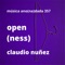 Open(Ness) In Blue - Claudio Nuñez lyrics