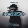 Visual Destruction - Single