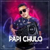 Papi Chulo (Remix) artwork
