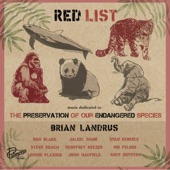 Brian Landrus - Save The Elephants