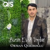 Bizim Evde Toydur - Single
