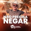 Não Precisa Negar - Single
