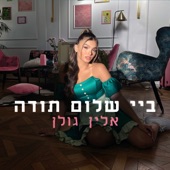 ביי, שלום, תודה artwork