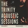 The Trinity Acoustic Sessions, Vol. 1 (Reawaken Hymns) [Acoustic]