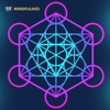 MindfulMed - Relieves Pain & Stress