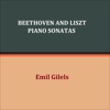 Emil Gilels - Beethoven - Sonata No. 28 in a Major, Op. 101 I. Allegretto, Ma Non Troppo
