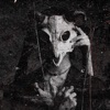 Dhirhaiti - Single