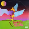 Freestyle Pra Faixa Rosa (feat. MD Chefe & Big Rush) [Remix] - Single album lyrics, reviews, download